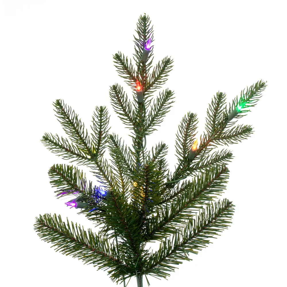 10' x 68" North Shore Fraser Fir Artificial Christmas Tree LED Colored Lights