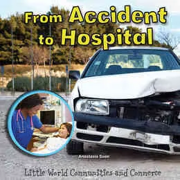 2015 - Little World Communities and Commerce (Series)