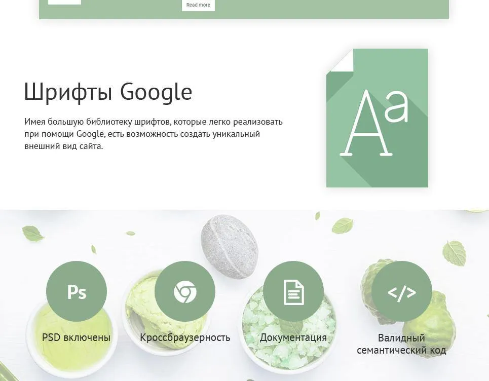 Beauty Products - Shopify Themes
