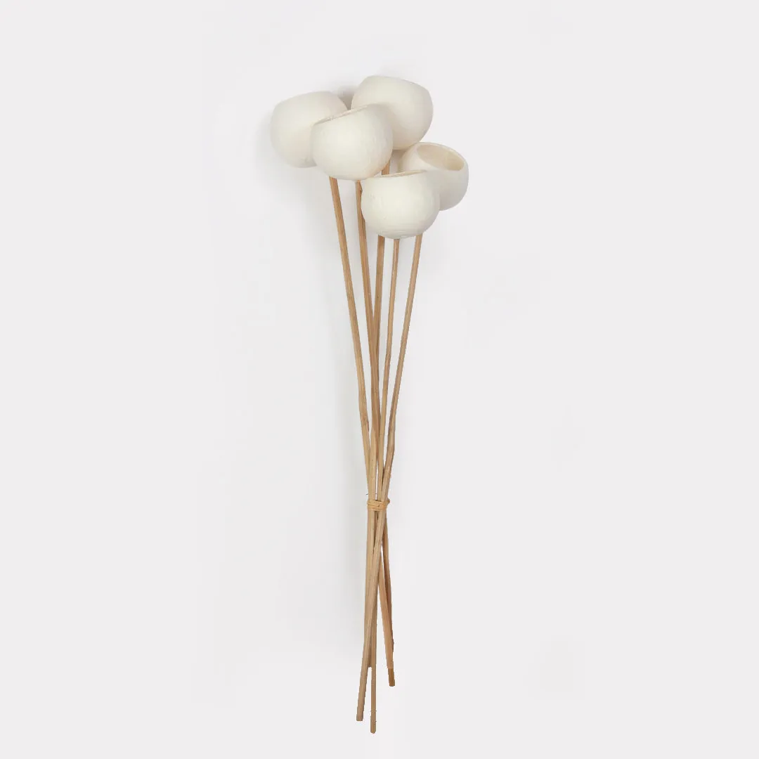 Bell Cup Dried Stems Set of 5