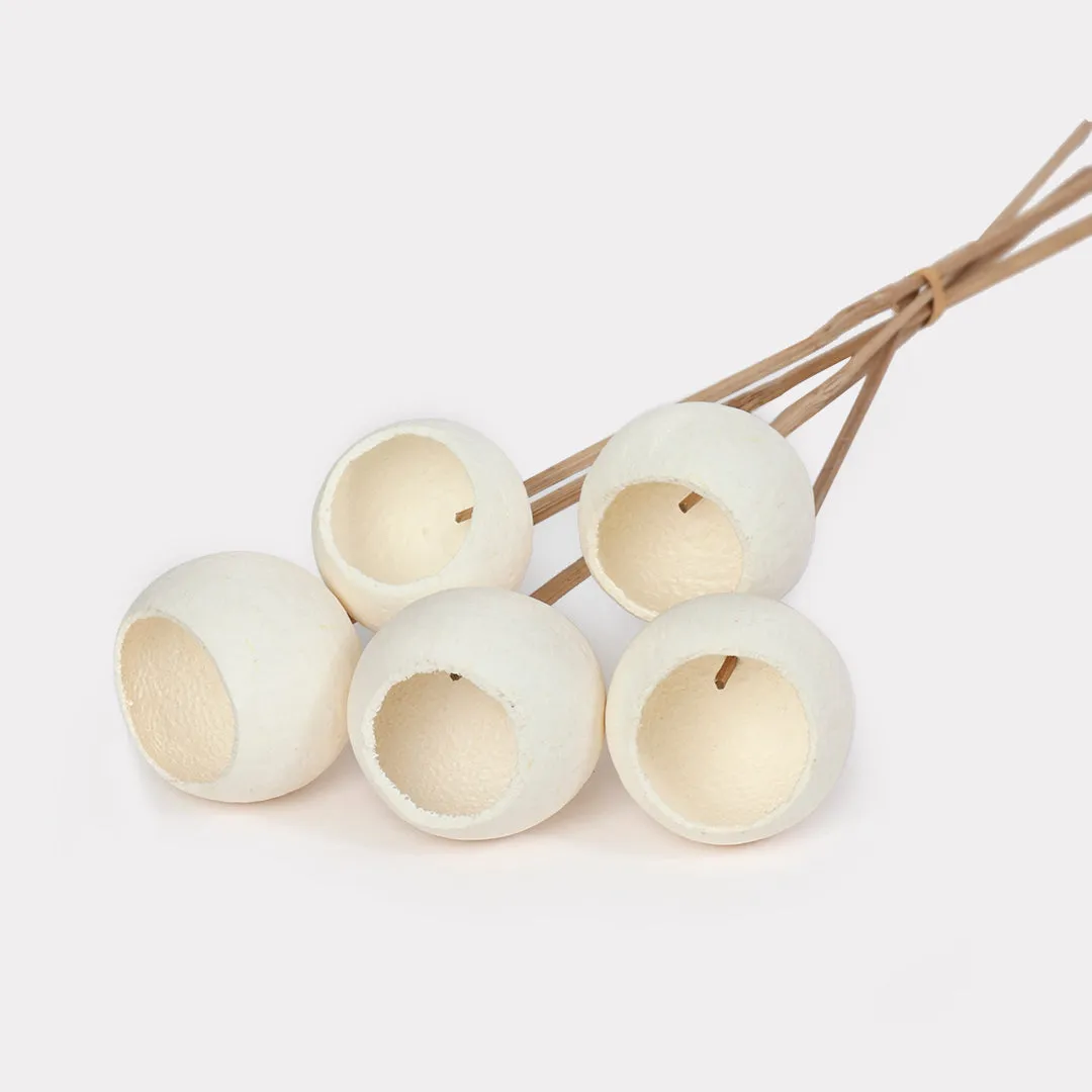 Bell Cup Dried Stems Set of 5