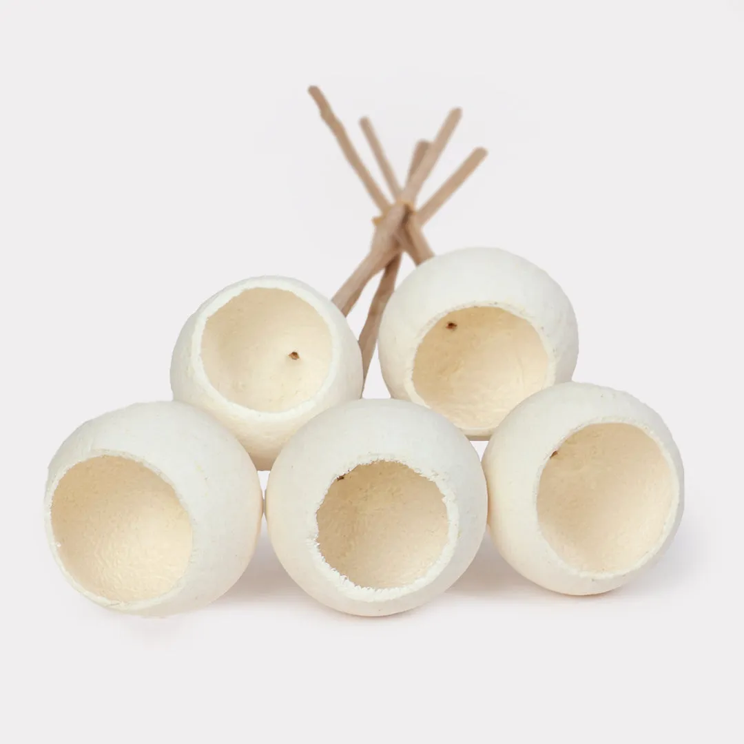 Bell Cup Dried Stems Set of 5