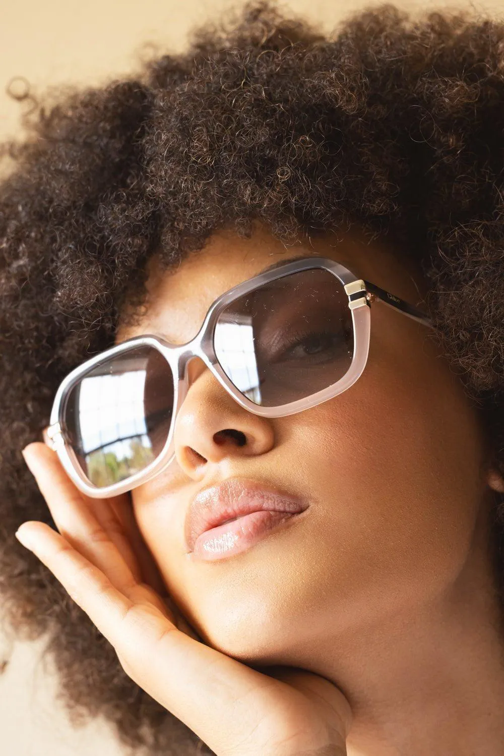 Chic Square Sunglasses