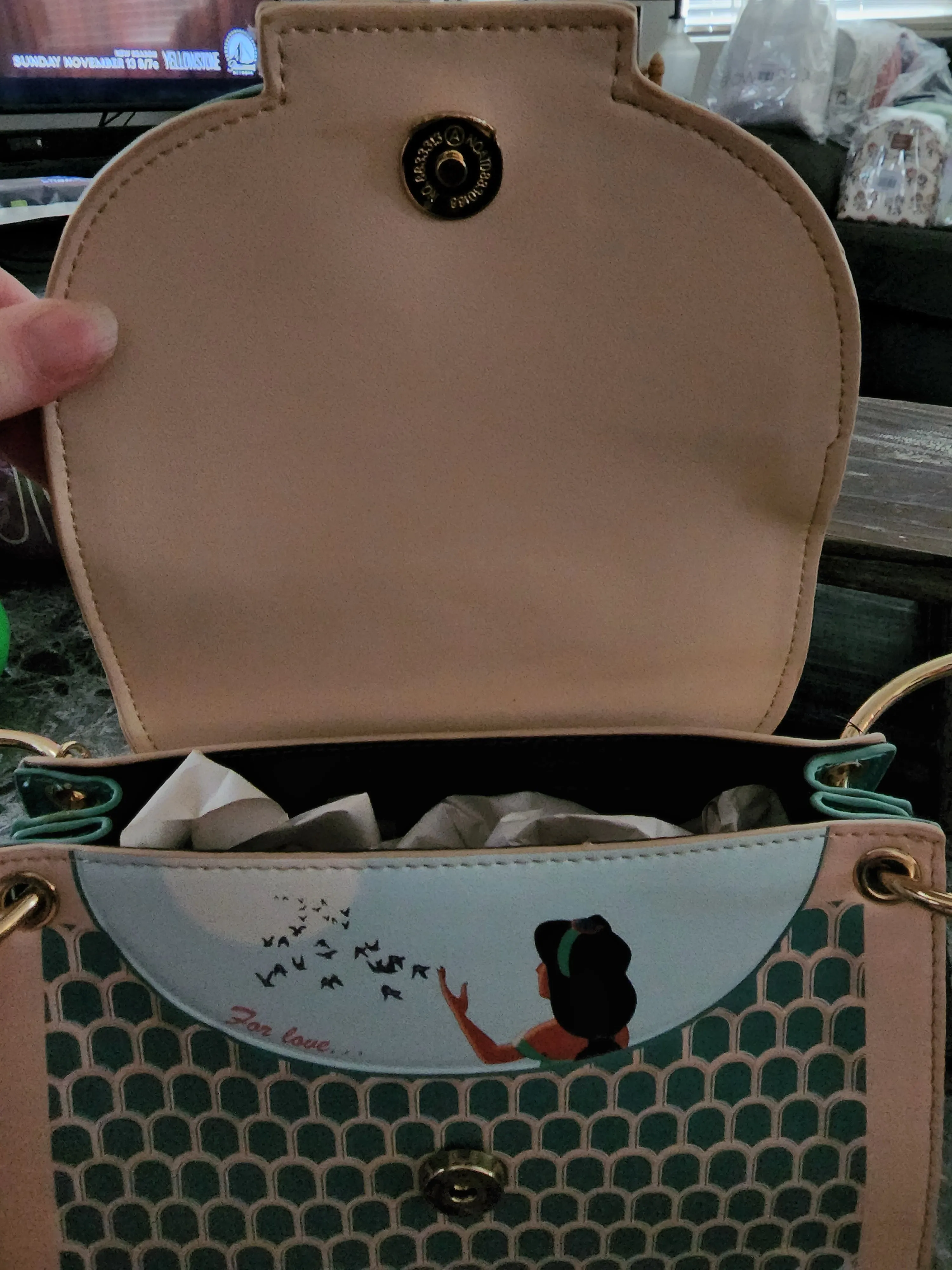 Danielle Nicole Jasmine Crossbody bag