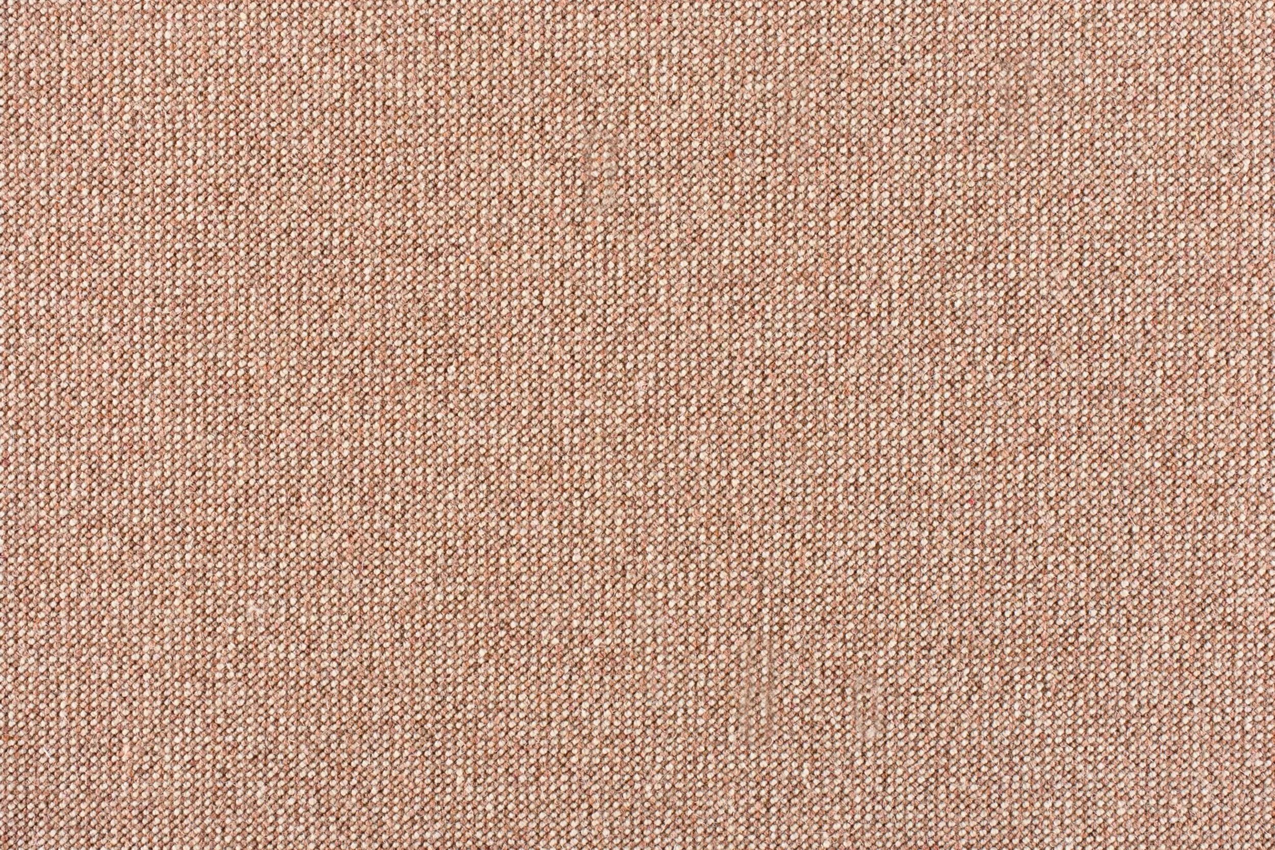 Denita