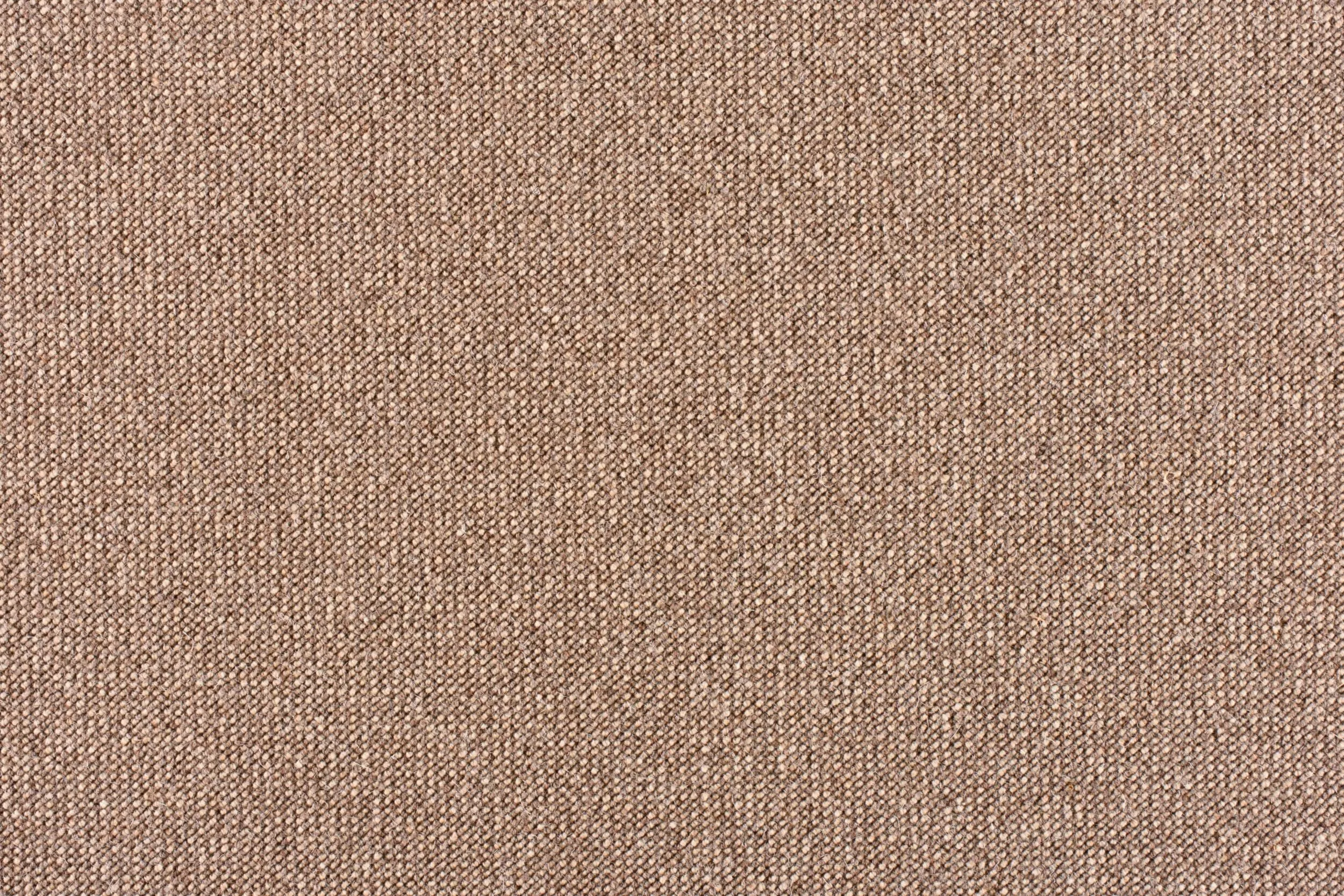 Denita