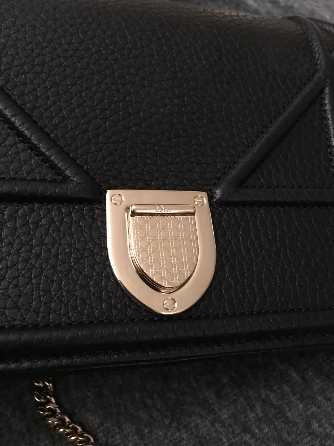 Diorama crossbody