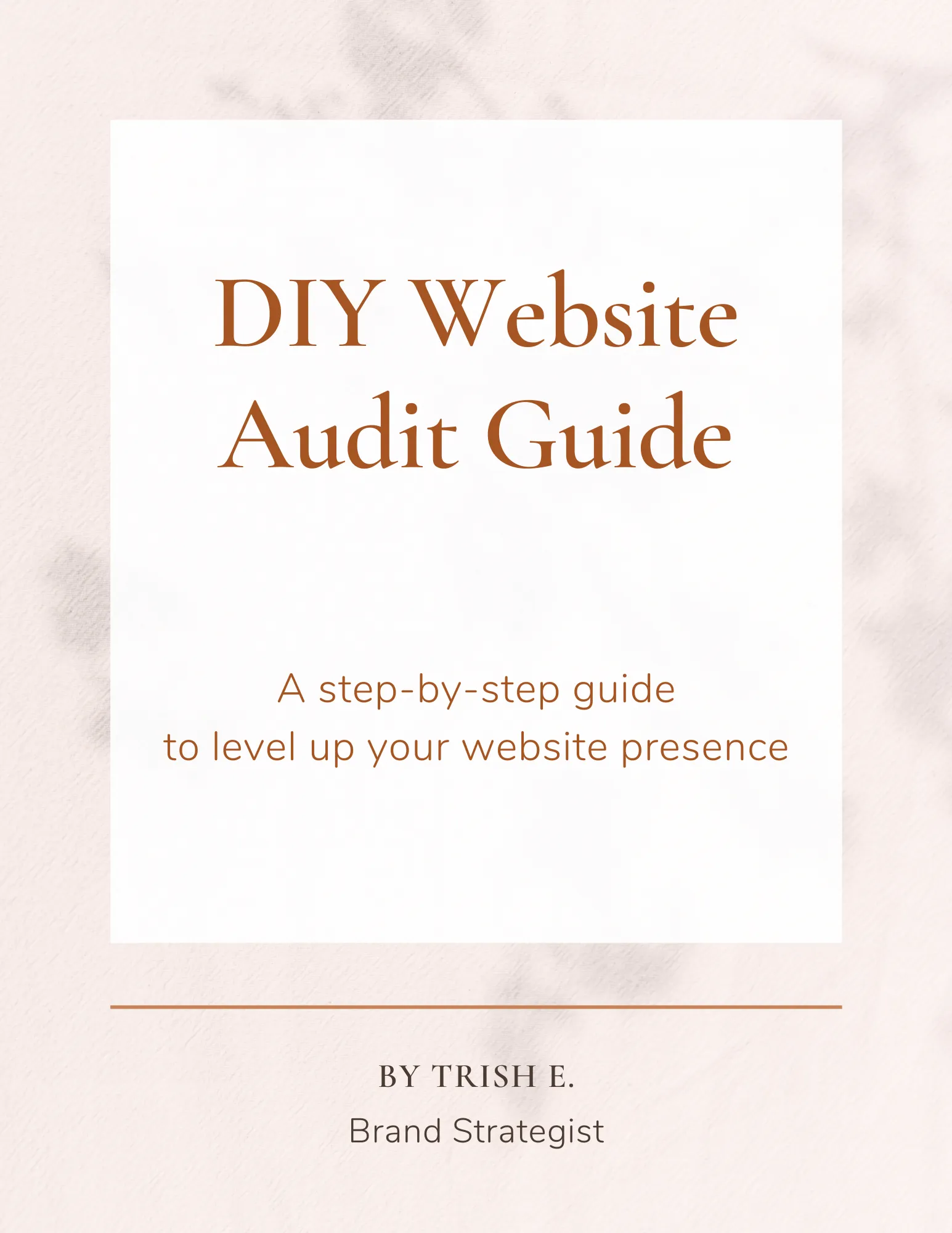 DIY Website Audit