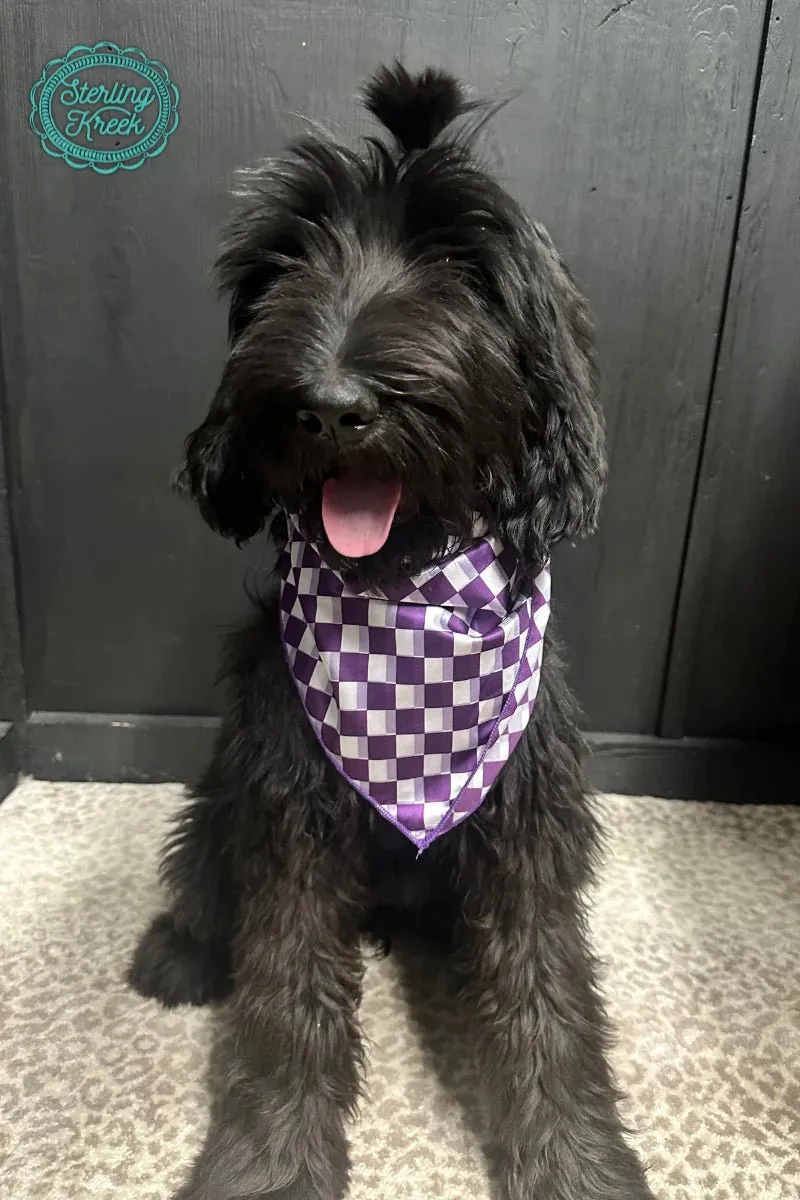 Kids Sterling Kreek Pep Rally Purple Wild Rag