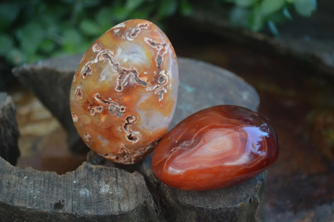 Polished Stunning Carnelian Agate Palm Stones  x 6 From Madagascar