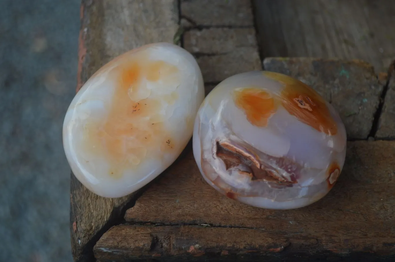 Polished Stunning Carnelian Agate Palm Stones  x 6 From Madagascar