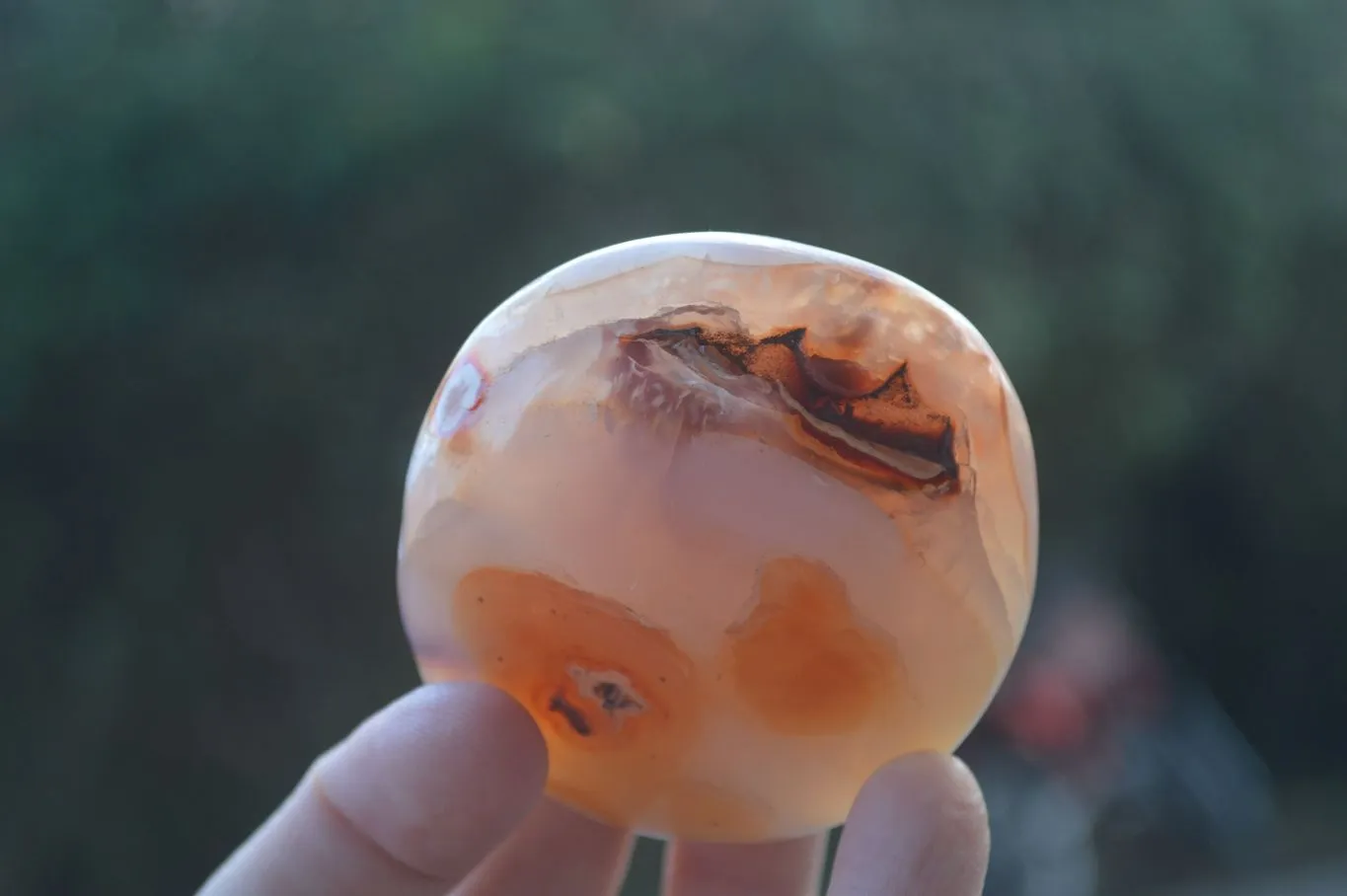 Polished Stunning Carnelian Agate Palm Stones  x 6 From Madagascar