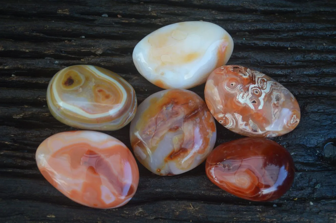 Polished Stunning Carnelian Agate Palm Stones  x 6 From Madagascar