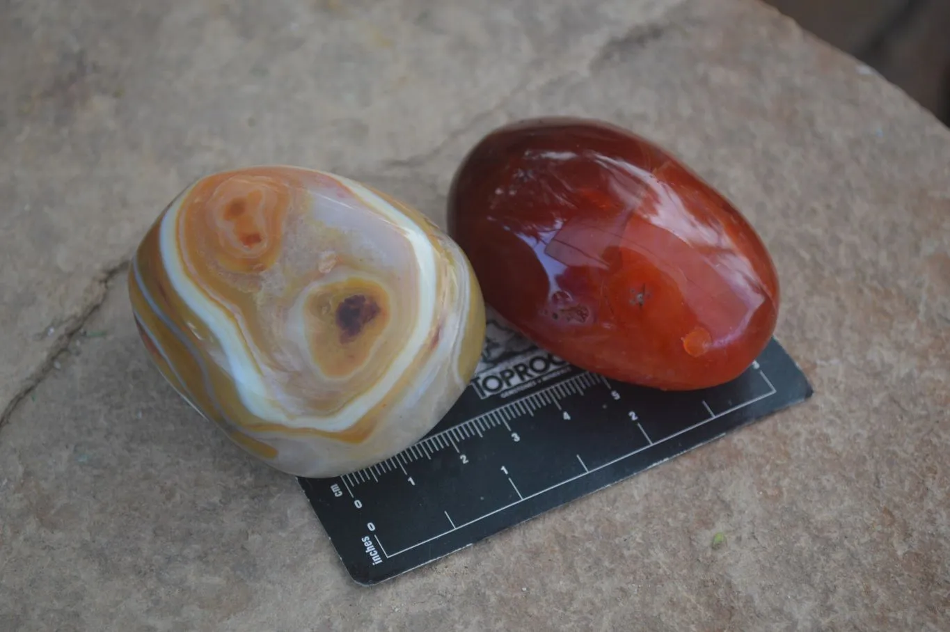 Polished Stunning Carnelian Agate Palm Stones  x 6 From Madagascar