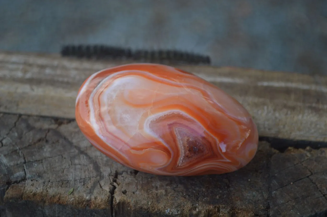 Polished Stunning Carnelian Agate Palm Stones  x 6 From Madagascar