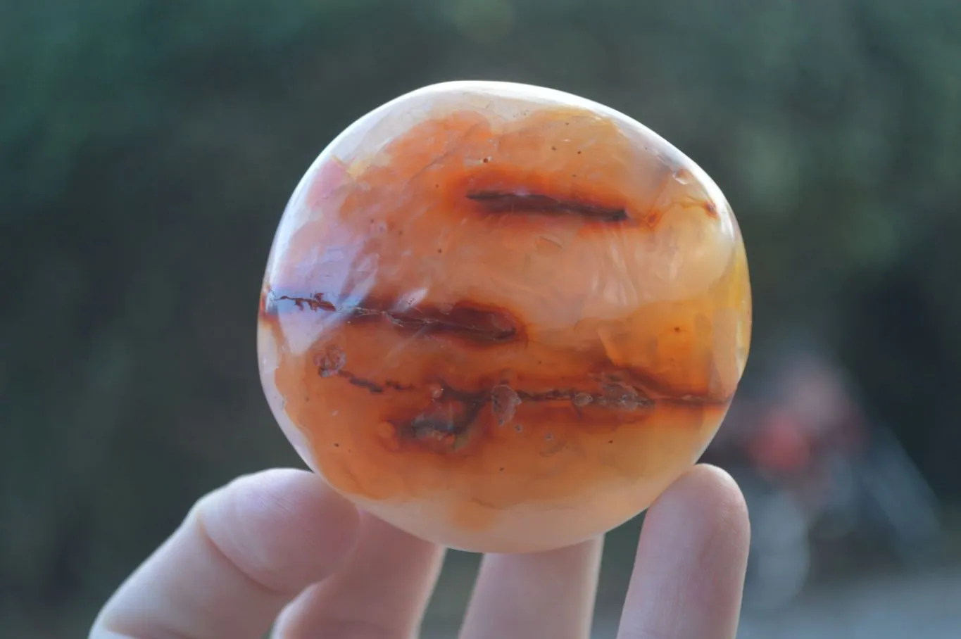 Polished Stunning Carnelian Agate Palm Stones  x 6 From Madagascar