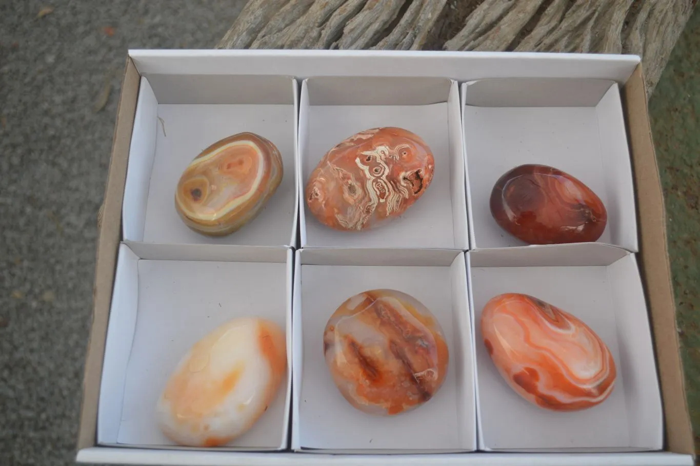 Polished Stunning Carnelian Agate Palm Stones  x 6 From Madagascar
