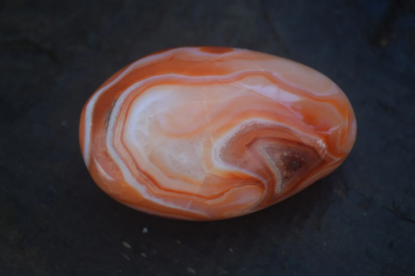 Polished Stunning Carnelian Agate Palm Stones  x 6 From Madagascar