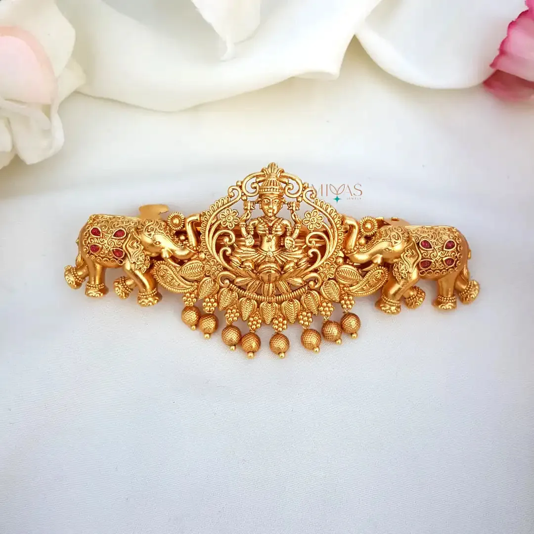 Stunning Lakshmi With Dual Elephant Hair Clip