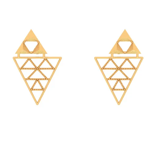 Stunning Stud Earrings